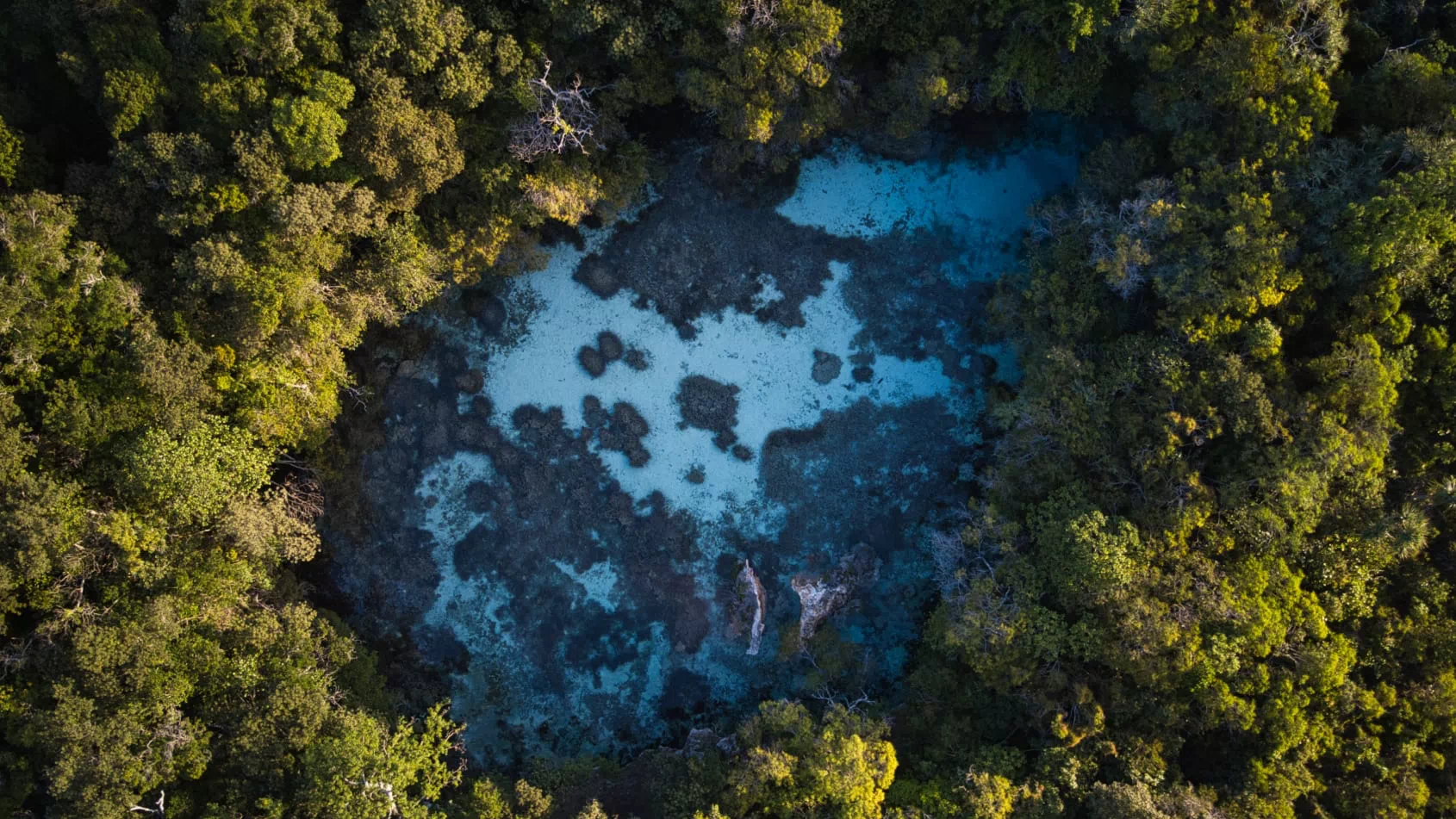 Cover image for project Haere pictures